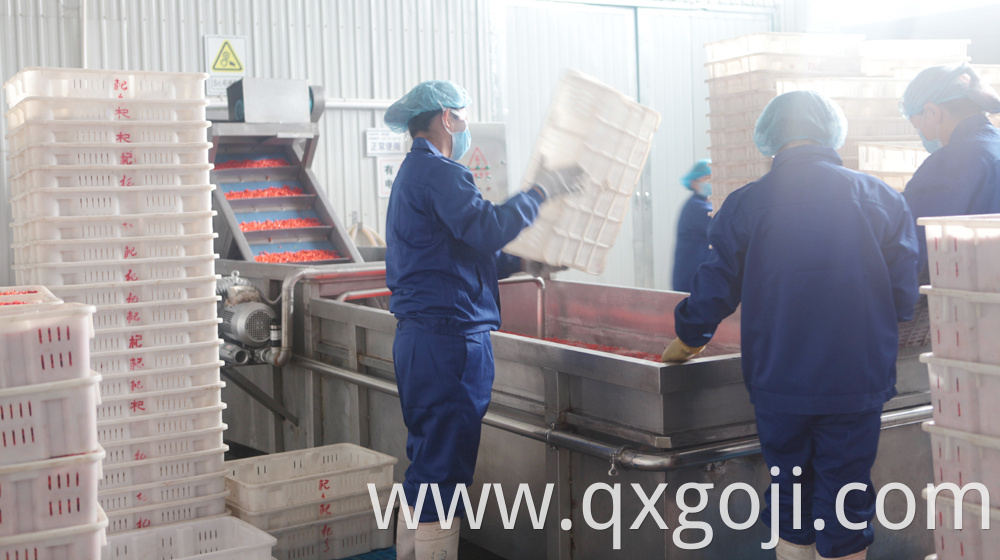 GMP Factory Supply Goji Juice